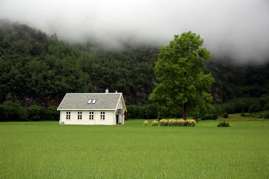Why Business Litigation Matters for Your Company